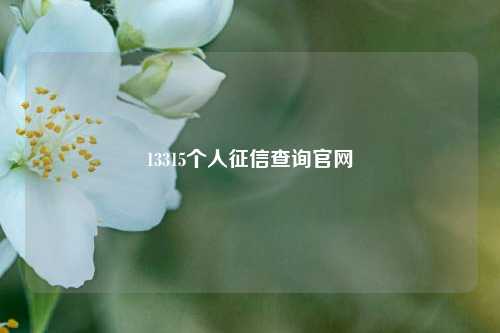13315个人征信查询官网